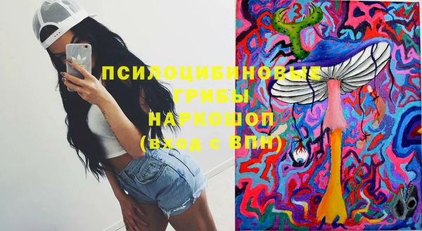 круглые Инсар