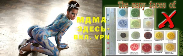 индика Иннополис
