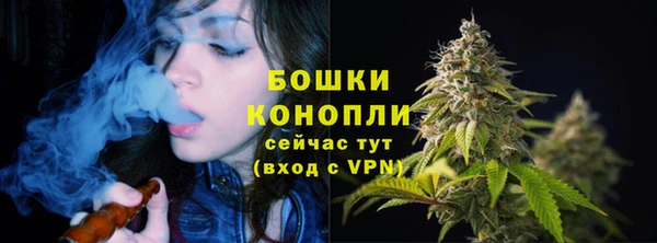 индика Иннополис