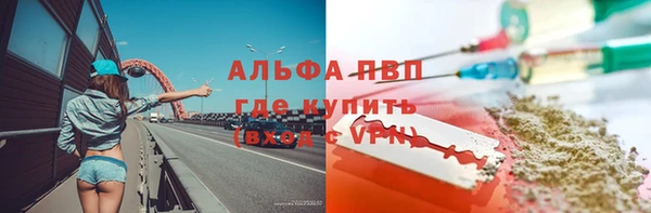 индика Иннополис