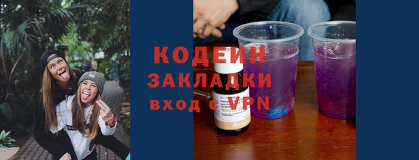 mix Инта