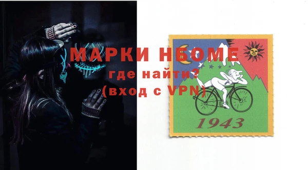 индика Иннополис