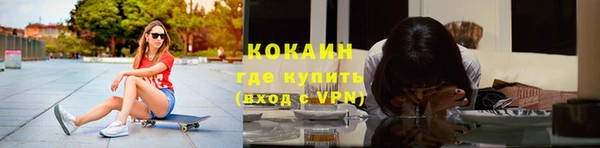 индика Сосновка