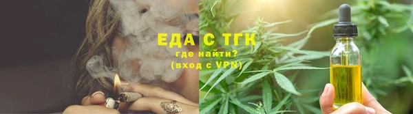 индика Иннополис