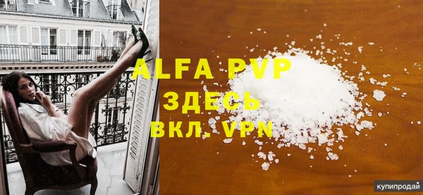 индика Иннополис
