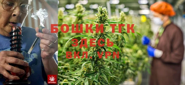 mix Инта
