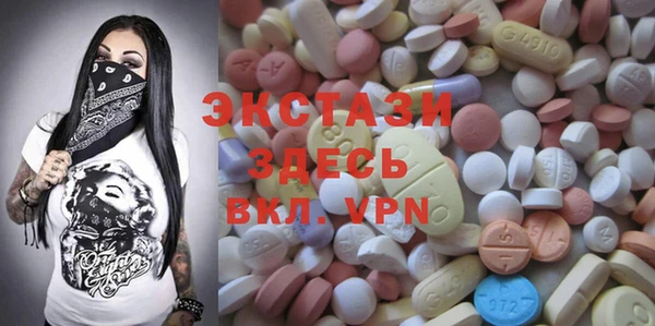 mix Инта