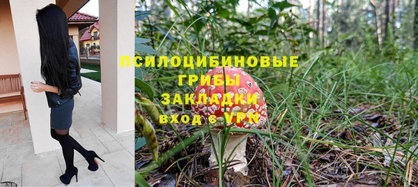 круглые Инсар