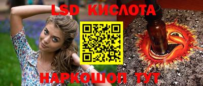 бошки Гусев