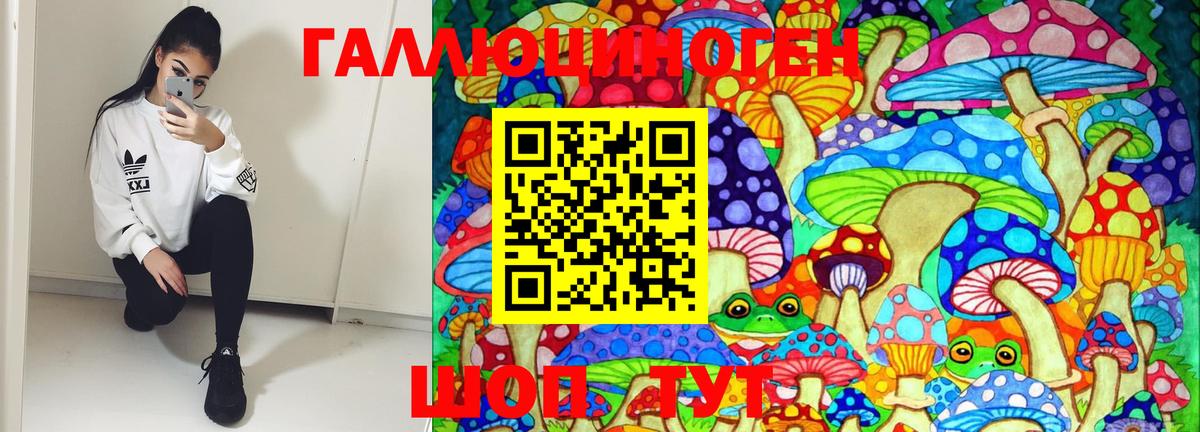 Псилоцибиновые грибы GOLDEN TEACHER Керчь