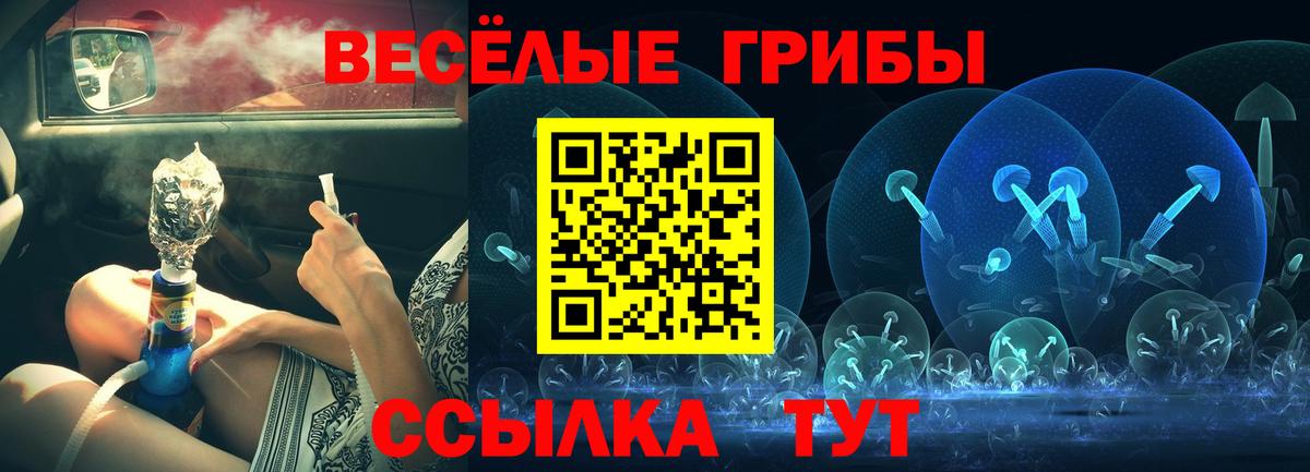 Керчь  Псилоцибиновые грибы Magic Shrooms  наркота  Вход с VPN 