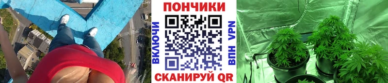 Конопля ГИДРОПОН  Керчь 